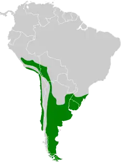Distribución geográfica del minero común