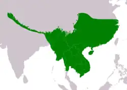 Distribución de Glaucidium cuculoides