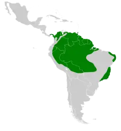 Distribución geográfica del ermitaño hirsuto.