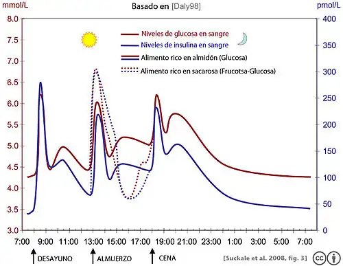 Variaciones antes y después de las comidas diarias en un sujeto sano. en los niveles de glucosa (en rojo). en los niveles de insulina (en azul).