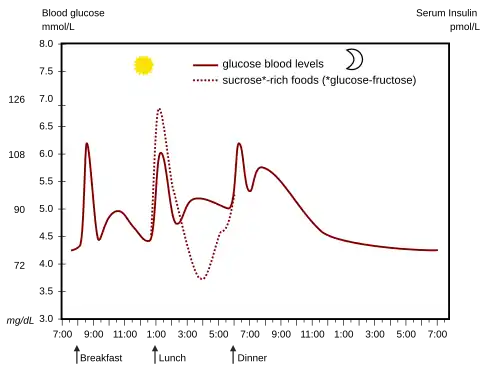 alt=Glucemia: variaciones a lo largo de un día en un humano normal. Elevaciones (picos) de glucemia luego de las comidas principales A la izquierda las escalas de medida de glucosa en mg/dL y mmol/L.