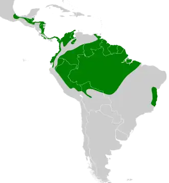 Distribución geográfica del trepatroncos picocuña.