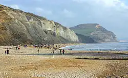 La costa jurásica en Charmouth, Dorset, donde los Anning hicieron algunos de sus descubrimientos.