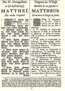 Evangelio de San Mateo en neerlandés