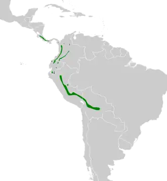 Distribución geográfica del ponchito ocráceo.