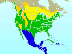 alt=Área de distribución: ( Azul = invernada , Verde = presente todo el año , Amarillo = nidificación , Mostaza = presente durante la migración )