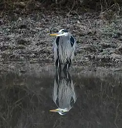 En Arkansas, EE.&nbsp;UU.