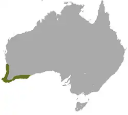 Mapa de distribución de Sminthopsis griseoventer