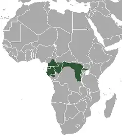 Distribución del mangabeye de mejillas grises