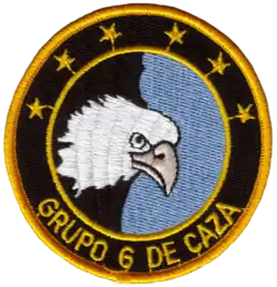 Grupo 6 de Caza (desde 1989)