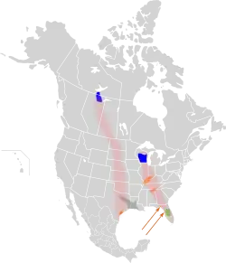 azul = nidificación, rosa = ruta migratoria, verde = presente todo el año, gris = presente todo el año (experimental), naranja = invernada.