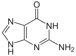 Estructura química de la guanina.