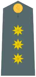 Divisa de coronel