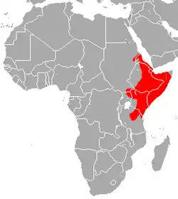 Distribución de C. cor
