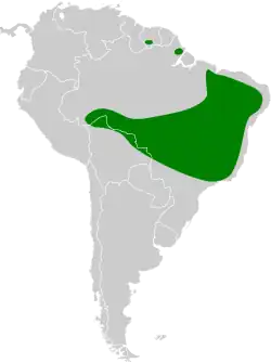 Distribución geográfica del colibrí cornudito.