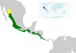 Distribución geográfica del colibrí pochotero