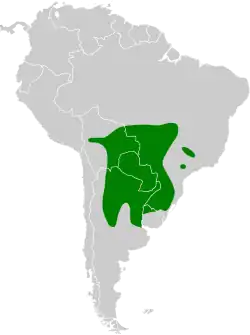 Distribución geográfica del colibrí de barbijo