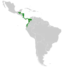 Distribución geográfica del colibrí hada occidental.