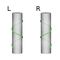 L:Tallo con giro antihorario R:tallo con giro horario