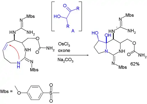 Formación de hemiaminal en saxitox en síntesis