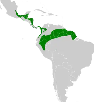 Distribución geográfica del cucarachero pechiblanco.