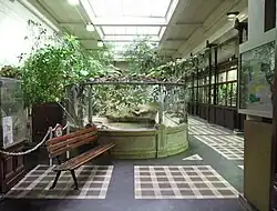 Interior de la Galerie de herpetología