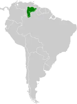 Distribución geográfica del tiluchí del Roraima.