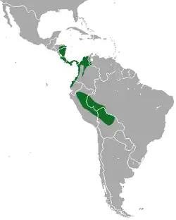 Distribución de C. hoffmanni