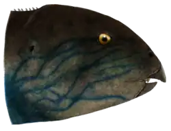 Recreación (Levi & Daniel Izaguirre, 2017