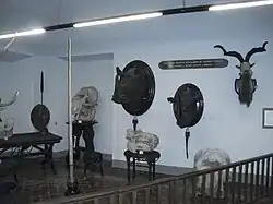 Trofeos de caza. Sala "Conde deTurín"