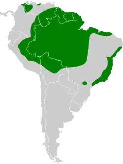Distribución geográfica del zafiro gorgiblanco