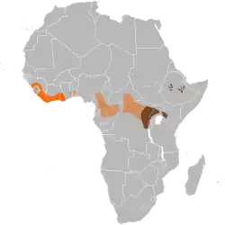 Área de distribución de: &nbsp;&nbsp;&nbsp;&nbsp;&nbsp;H. m. ivoriensis&nbsp;&nbsp;&nbsp;&nbsp;&nbsp;H. m. rimator&nbsp;&nbsp;&nbsp;&nbsp;&nbsp;H. m. meinertzhageni