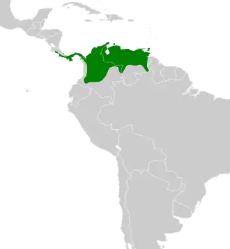 Distribución geográfica del verdillo paticlaro.