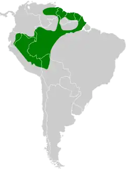 Distribución geográfica del verdillo pechilimón.