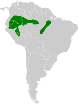Distribución geográfica del hormiguero cejiamarillo.