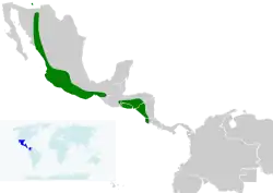 Distribución de I. pustulatus