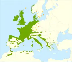 alt=Distribución del acebo. : Distribución nativa. :✖ Población aislada. :▲ Introducido y naturalizado.