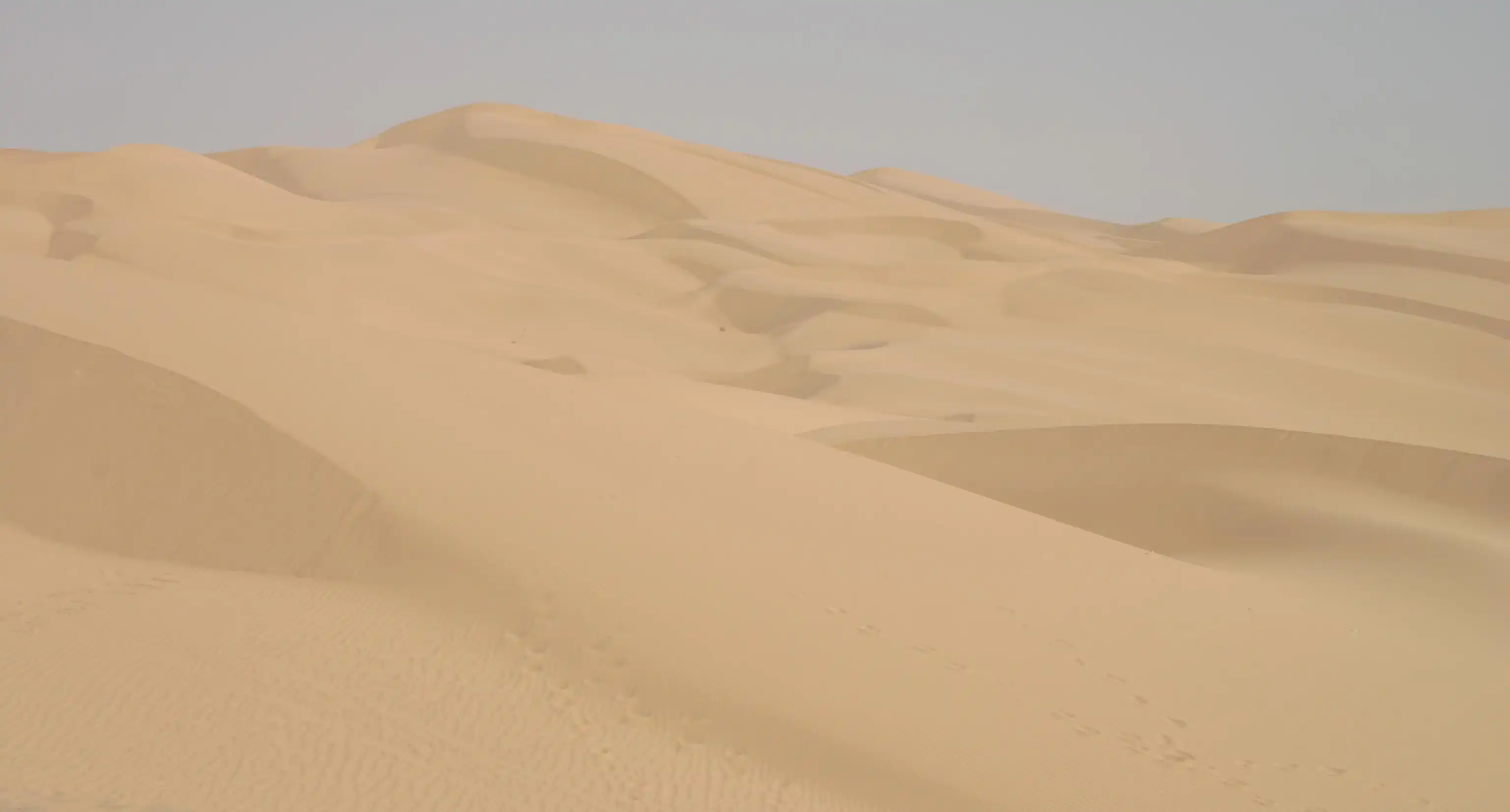 Las dunas de los Algodones en el sureste de California.