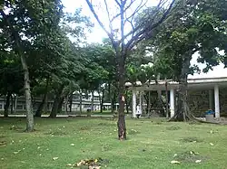 Instituto Anotómico