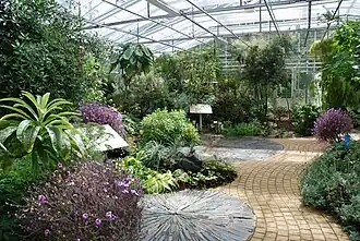 El interior de los Invernaderos tropicales.