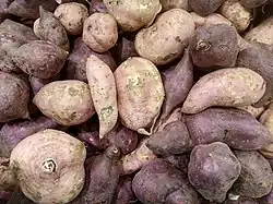 Ipomoea batatas - Tubérculos