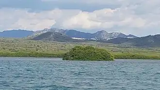 Islote de los Pájaros, formado por manglares