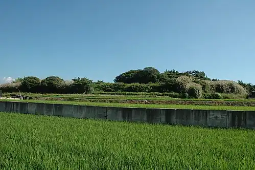Kofun de Izumikoganeduka.