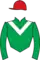 Horse racing silks