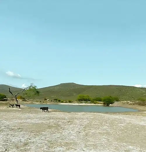 Jagüey de El Pirú Tepozotlán.