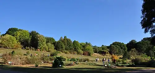 Vista panorámica del jardín