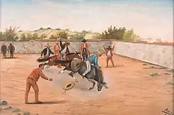 Jineteo de Caballo cerril, a pelo.