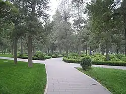 Un paseo por el parque