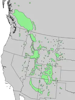 Natural range of Juniperus scopulorum