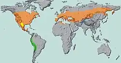 Distribución de la dorífora